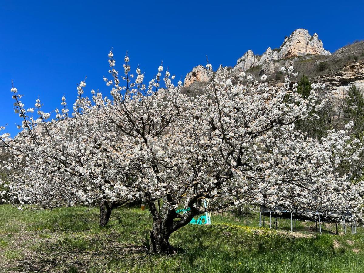 Gite Du Vallon Des Sources Millau Buitenkant foto